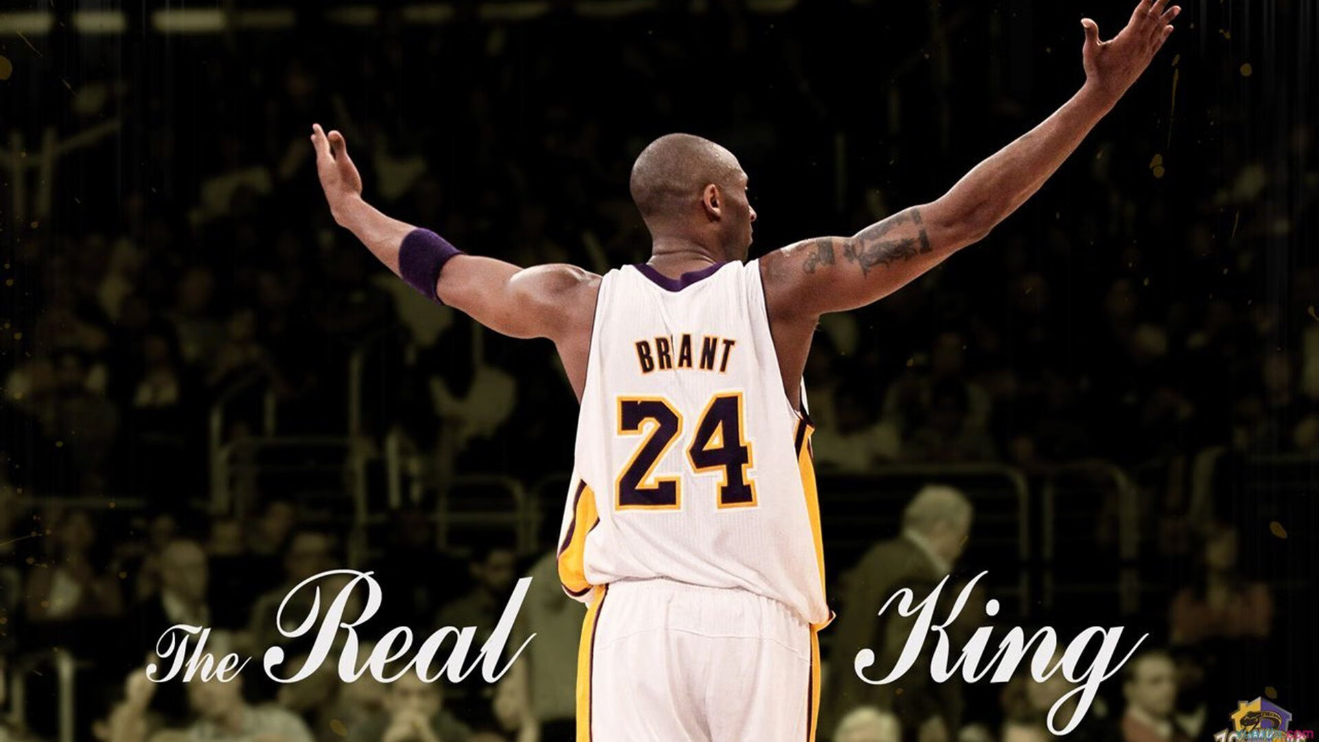 体育直播平台用户互动行为数据分析报告，互动直播体育怎么看