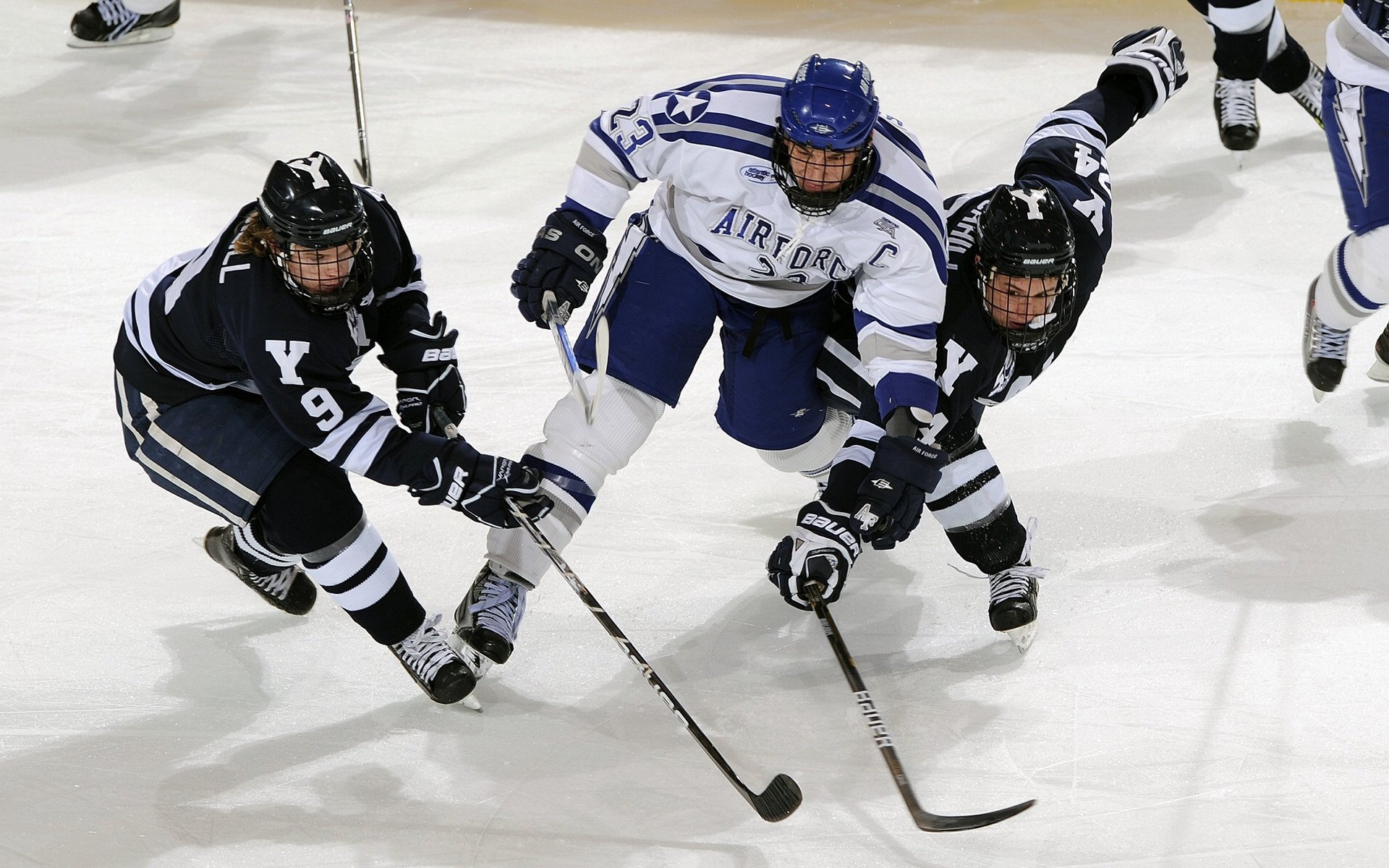 “新加坡泳池热战！游泳与水上芭蕾让观众大呼过瘾”