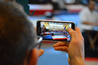 中国篮球联赛市场细分与营销研究，篮球联赛介绍