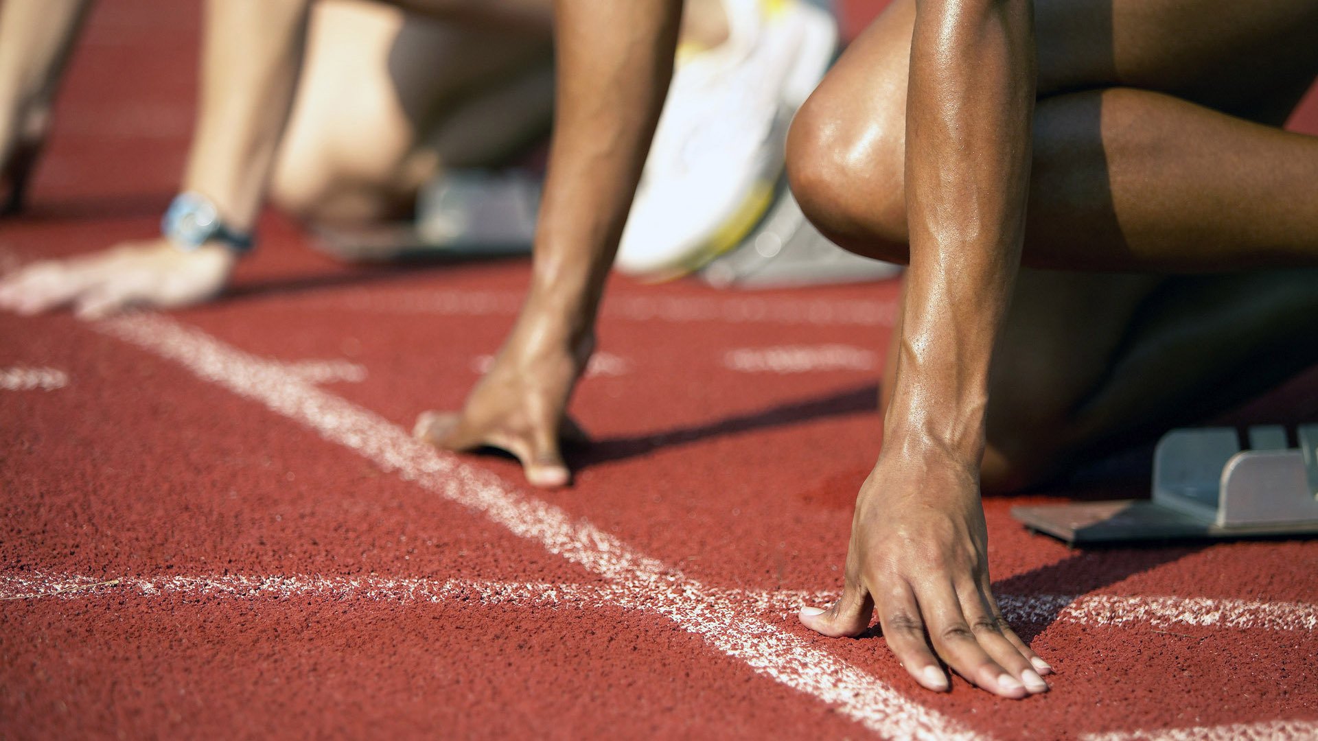 体育新闻中心上线体育行业趋势智能监测平台，专业的体育新闻网站